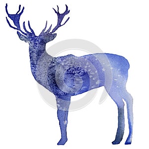 Watercolor deer snow shilouette  isolated photo