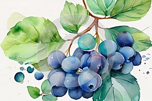 Watercolor Depiction of Nature\'s Beauty with Tranquil Blueberry Hues.