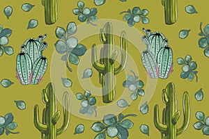 Watercolor desert set `Cacti seamless pattern with Crassula`green background
