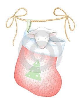Watercolor and digital graphic illustration of white mouse in Christmas sock