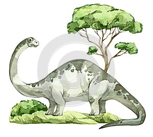 Watercolor dinosaur illustration with prehistoric landscape. Hand drawn Brontosaurus