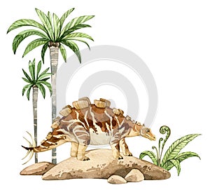 Watercolor dinosaur illustration with prehistoric landscape. Hand drawn Wuerhosaurus on the rocks with palm trees.