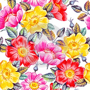 Watercolor dog rose flowers seamless pattern