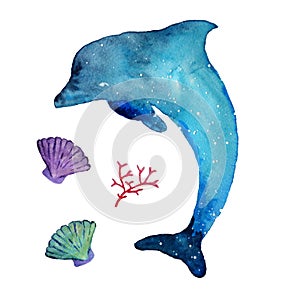 Watercolor dolphin and sea inhabitants, isolated on a white background.