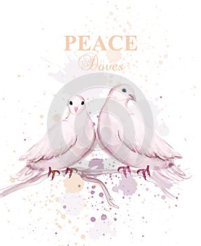 Watercolor doves birds Vector. Peace card delicate design posters