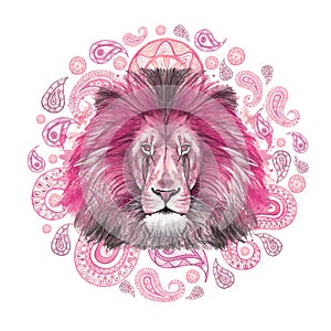 Watercolor drawing of an animal of a mammal predator, pink lion, pink mane, lion-king of beasts, portrait of greatness, strength,