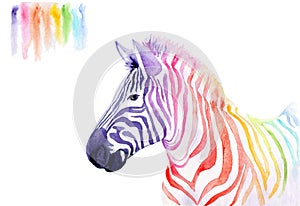 Watercolor drawing of an animal - rainbow zebra