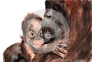 Watercolor drawing - animals - orangutan with baby, sketch