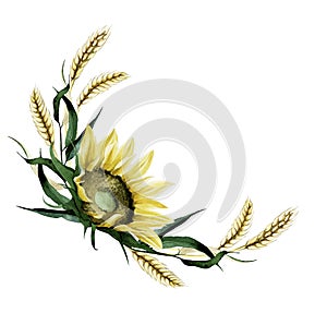 Watercolor drawing. autumn composition of flowers of a sunflower and autumn leaves, ears of wheat. isolated on white background bo