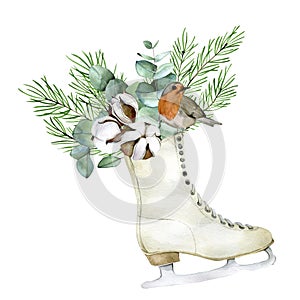 Watercolor drawing. christmas composition with winter bird, vintage skates, cotton flowers, eucalyptus leaves, fir branches and co