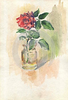 Watercolor drawing, illustration. A red rose bud in a vase and on a brown background.