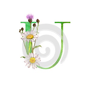 watercolor drawing letter U with flowers