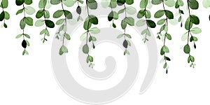 Watercolor drawing. seamless border, pattern with abstract eucalyptus leaves. isolated on white background print with stylized gre