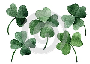 watercolor drawing, set of green four-leaf clover leaves