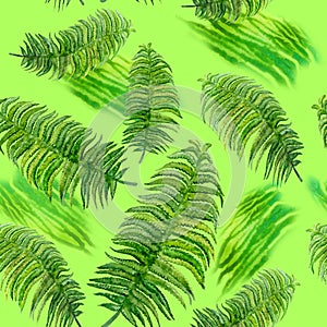 Watercolor drawing of spring fern. Hand drawn painting of beautiful plant. vascular plant. Seamless pattern. Dicksonia antarctica