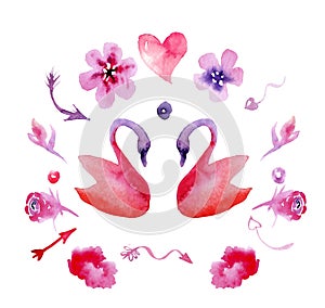 Watercolor drawings for Valentine`s Day, swans, heart, flowers