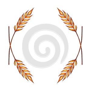 Watercolor ears of wheat frame border illustration isolated on white background. Template for decorating illustrations.