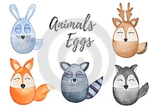 Watercolor Easter Animals eggs, Decorative eggs illlustration