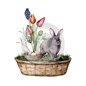 Watercolor Easter card with a rabbit and tulips. Hand painted rabbit, basket, eggs, grass and leaves isolated on a white