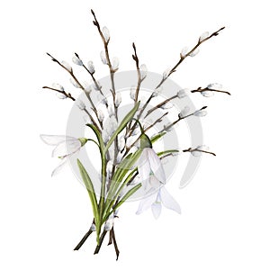 Watercolor easter illustration of pussy-willow branches and snowdrops bouquet isolated on white background
