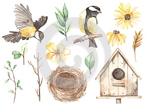 Watercolor easter set with titmouse, nest, yellow flowers, daisies, birdhouse, spring greenery, leaves, spikelet