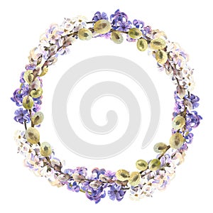 Watercolor Easter willow and hyacinth round wreath. Hand painted willow branch isolated on white background. Design for