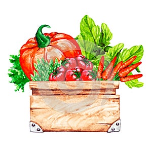 Watercolor eco vegetables in a box.