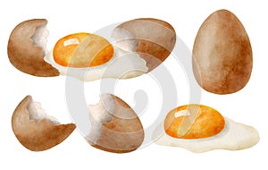 Watercolor eggs set. Hand drawn brown egg, broken egg with yolk and glair and eggshell illustrations isolated on white