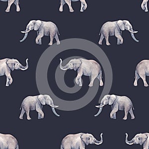 Watercolor elephant seamless pattern