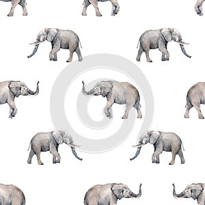 Watercolor elephant seamless vector pattern