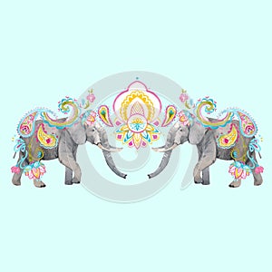 Watercolor elephant vector illustration