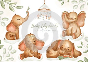 Watercolor elephants for nursery