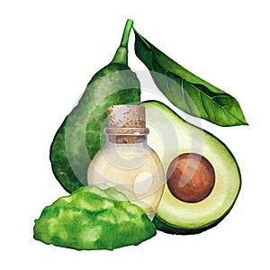 Watercolor essential oil bottle decorated with avocado fruits and leaves