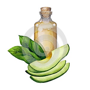 Watercolor essential oil bottle decorated with avocado fruits and leaves