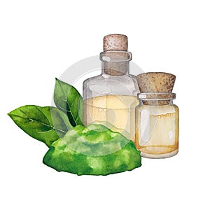 Watercolor essential oil bottle decorated with avocado fruits and leaves