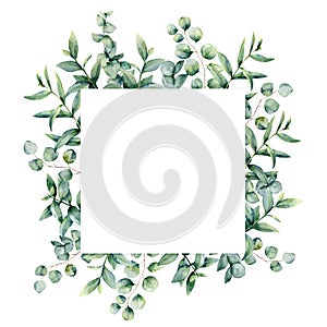 Watercolor eucaliptus leaves frame. Hand painted baby, seeded and silver dollar eucalyptus branch isolated on white