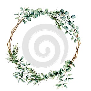 Watercolor eucalyptus branch wreath. Hand painted eucalyptus branch and leaves isolated on white background. Floral