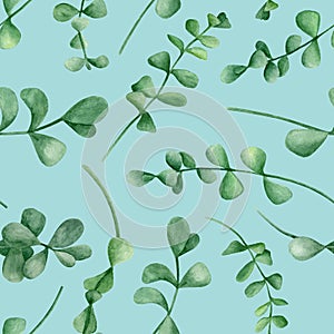 Watercolor eucalyptus branches seamless pattern. Hand drawn silver dollar plants with round leaves isolated on blue background.