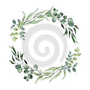 Watercolor eucalyptus foliage wreath. Greenery frame illustration