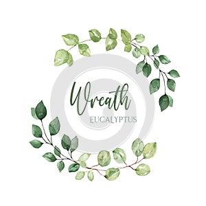 Watercolor eucalyptus greenery frame. Beautiful green leaves wreath. Botanical painting