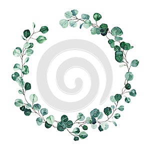 Watercolor eucalyptus wreath with green leaves isolated on white background