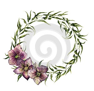 Watercolor eucalyptus wreath with hellebore flowers. Eucalyptus