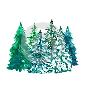 Watercolor evegreen pine trees illustration with snow, isolated on white background. Winter forest landscape