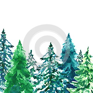 Watercolor evegreen pine trees illustration with snow, isolated on white background. Winter forest landscape