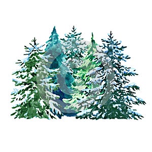 Watercolor evegreen pine trees illustration with snow, isolated on white background. Winter forest landscape