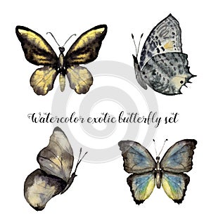 Watercolor exotic butterfly set. Hand painted insect collection isolated on white background. Illustration for design