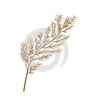 Watercolor exotic dry twig with gold textures. Hand painted boho leaves isolated on white background.