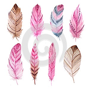 Watercolor exotic feathers set photo