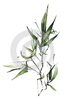 Watercolor exotic greenery bouquet. Green bamboo branches, leaves and twigs.