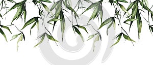 Watercolor exotic greenery seamless border frame. Green bamboo branches, leaves and twigs.